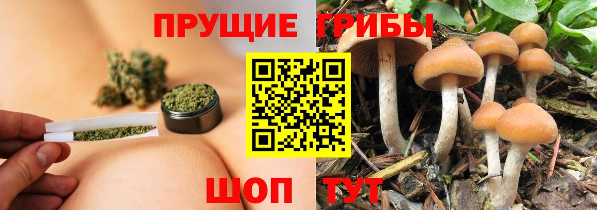 Псилоцибиновые грибы MAGIC MUSHROOMS Архангельск